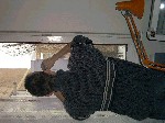 Image-25.jpg