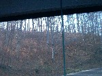 Image-02.jpg
