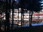 Image-11.jpg