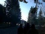 Image-12.jpg