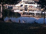 Image-13.jpg