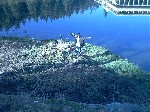 Image-14.jpg