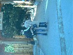 Image-16.jpg