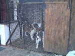 Image-30.jpg
