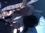 Image-46.jpg