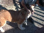Image-47.jpg