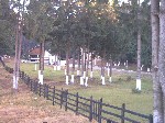 Image-59.jpg