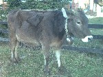 Image-69.jpg