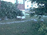 Image-70.jpg