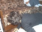 Image-73.jpg