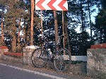Image-07.jpg