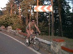 Image-09.jpg