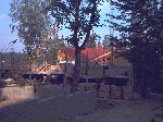 Image-06.jpg