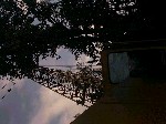Image-13.jpg