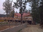 Image-36.jpg