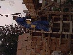 Image-37.jpg