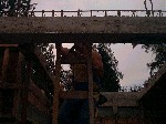 Image-40.jpg
